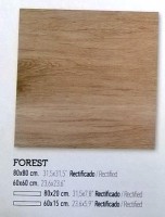 /album/porcelanico-gran-tama%c3%b1o-mate/forest-cuad-jpg/